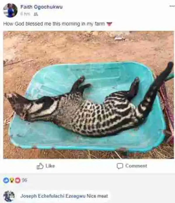 See The Animal A Pretty Female Nigerian Soldier Killed In Her Farm Today (Photos)